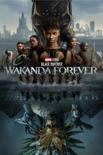 Watch Black Panther: Wakanda Forever Movies123