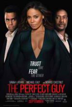 Watch The Perfect Guy Movies123