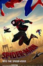 Watch Spider-Man: Into the Spider-Verse Movies123