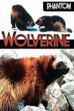 Watch National Geographic Phantom Wolverine Movies123