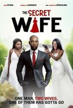 Watch The Secret Wife Movies123