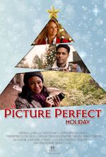 Watch A Picture Perfect Holiday Movies123