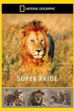 Watch National Geographic: Super Pride Africa\'s Largest Lion Pride Movies123