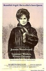 Watch Summer Wishes, Winter Dreams Movies123