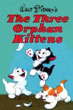 Watch Three Orphan Kittens Movies123