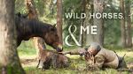 Watch Wild Horses, the Rockies and Me (TV Special 2025) Movies123