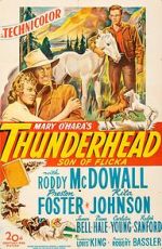 Watch Thunderhead: Son of Flicka Movies123