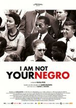Watch I Am Not Your Negro Movies123