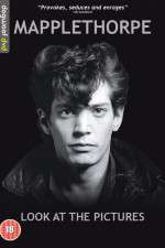 Watch Mapplethorpe: Look at the Pictures Movies123