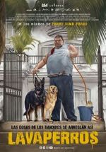 Watch Dogwashers Movies123