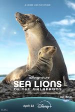 Watch Sea Lions of the Galapagos (TV Special 2025) Movies123