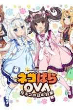 Watch Nekopara OVA Extra Movies123