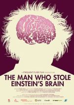 Watch The Man Who Stole Einstein\'s Brain Movies123