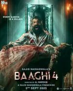 Watch Baaghi 4 Movies123
