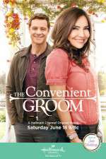 Watch The Convenient Groom Movies123