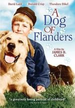 Watch A Dog of Flanders Movies123