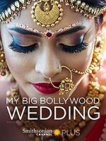 Watch My Big Bollywood Wedding Movies123