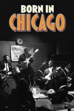 Watch Born In Chicago Movies123
