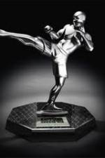 Watch World MMA Awards 2010 Movies123