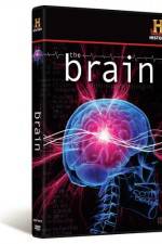 Watch The Brain Movies123