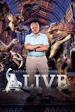 Watch David Attenborough\'s Natural History Museum Alive Movies123