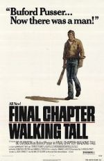 Watch Final Chapter: Walking Tall Movies123