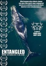 Watch Entangled: The Race to Save Right Whales from Extinction Movies123