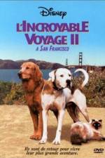 Watch Homeward Bound II Lost in San Francisco Movies123