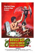 Watch Bruce Lee Fights Back from the Grave Movies123
