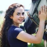 Watch Wildfire: The Legend of the Cherokee Ghost Horse Movies123