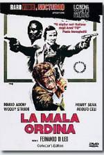 Watch The Italian Connection Movies123