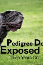 Watch Pedigree Dogs Exposed, Three Years On Movies123