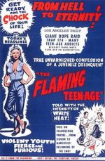 Watch The Flaming Teenage Movies123