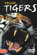 Watch Swamp Tigers Movies123