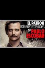 Watch The Rise and Fall of Pablo Escobar Movies123