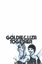 Watch Goldie and Liza Together Movies123