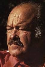 Watch The Return of Frank Cannon Movies123