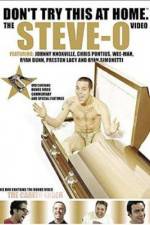 Watch Don't Try This at Home The Steve-O Video Movies123