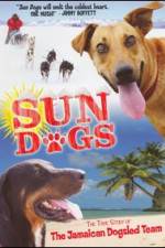Watch Sun Dogs Movies123