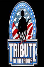 Watch WWE Tribute to the Troops Movies123