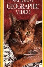 Watch Cats Caressing the Tiger Movies123
