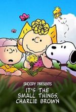 Watch Snoopy Presents: It's the Small Things, Charlie Brown (TV Special 2022) Movies123