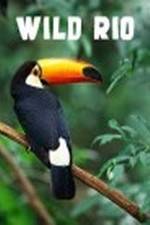 Watch Wild Rio Movies123