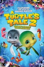 Watch A Turtle\'s Tale 2: Sammy\'s Escape from Paradise Movies123
