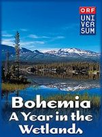 Watch Bohemia: A Year in the Wetlands Movies123