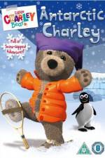 Watch Little Charley Bear - Antarctic Charley Movies123