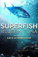Watch Superfish Bluefin Tuna Movies123