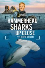 Watch Hammerhead Sharks Up Close with Bertie Gregory Movies123