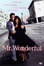 Watch Mr Wonderful Movies123