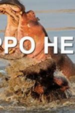 Watch Hippo Hell Movies123